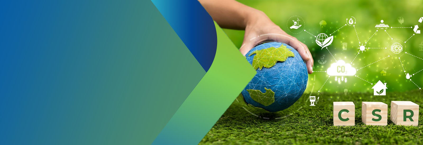 Delhi Technological University